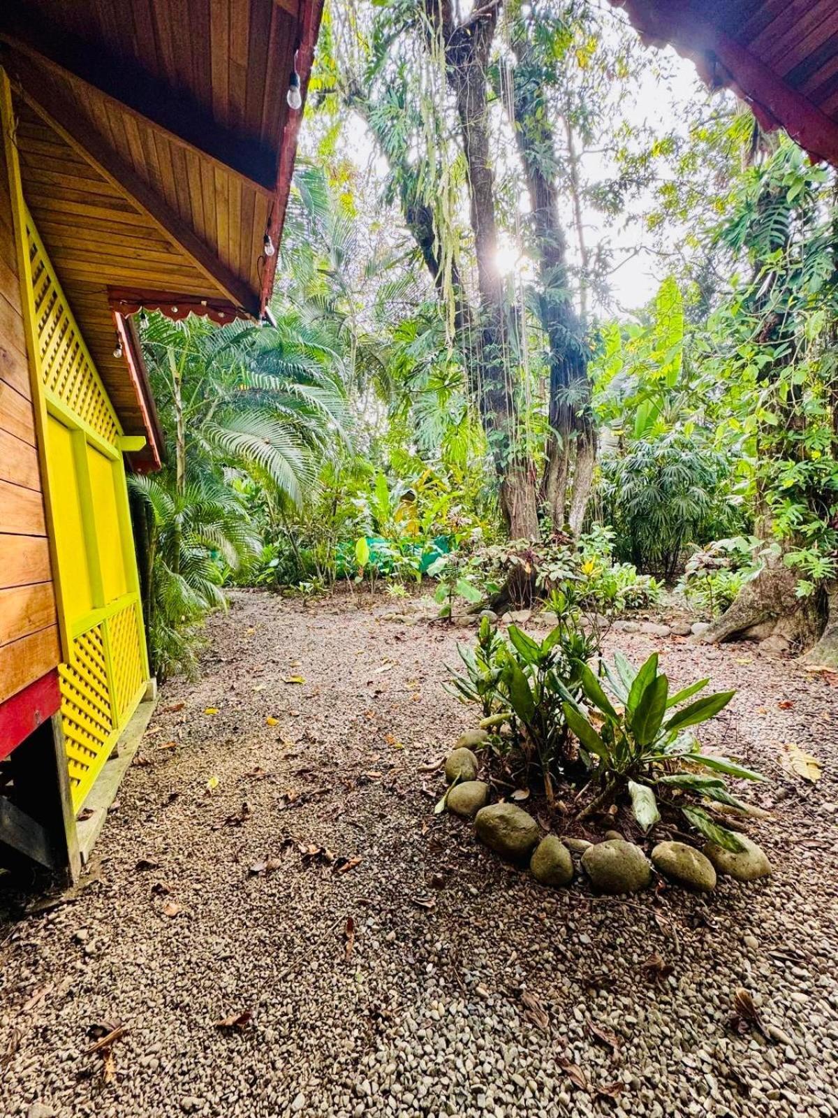 Вилла El Jardin De Playa Negra Puerto Viejo de Talamanca Экстерьер фото