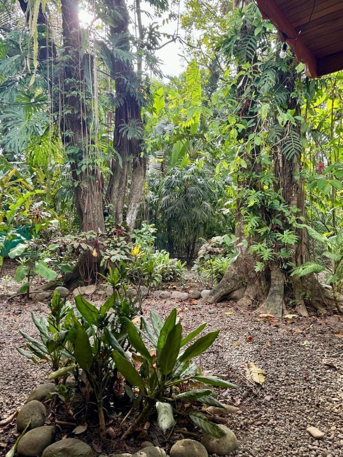 Вилла El Jardin De Playa Negra Puerto Viejo de Talamanca Экстерьер фото