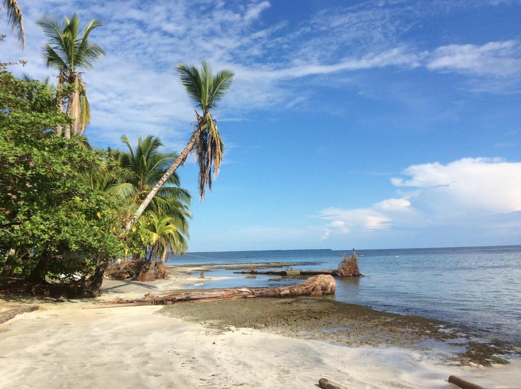 Вилла El Jardin De Playa Negra Puerto Viejo de Talamanca Экстерьер фото